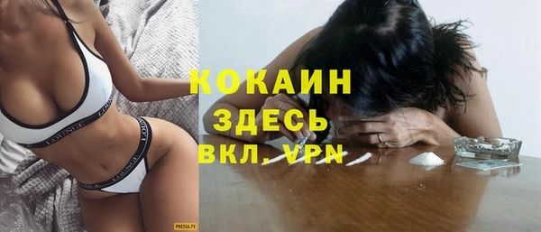 дживик Бородино
