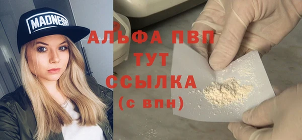 дживик Бородино