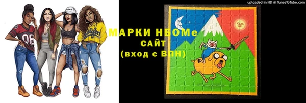 дживик Бородино