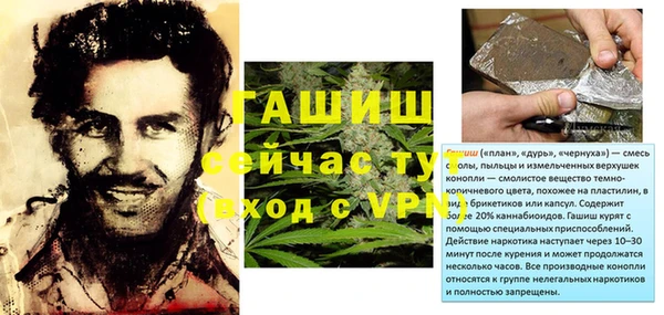 дживик Бородино